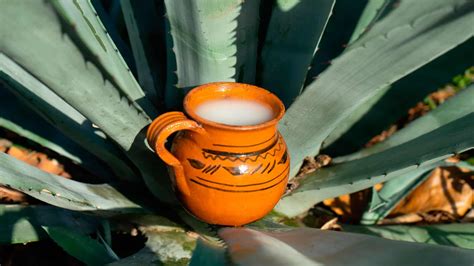 Corcholata de Pulque Curado