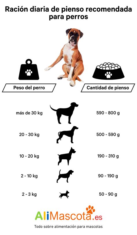 Ración diaria de pienso para perros