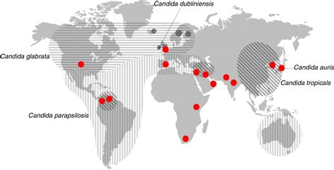 Mapa mundial mostrando la distribución geográfica de Candida auris.
