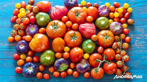 Variedades de tomate: colores, formas y tamaños