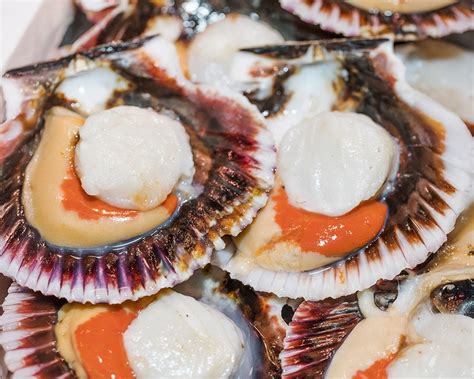 Vieiras gratinadas en su concha
