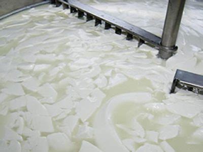 Proceso de cuajado de la leche