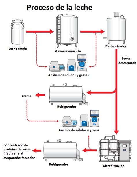 Proceso de pasteurización de la leche