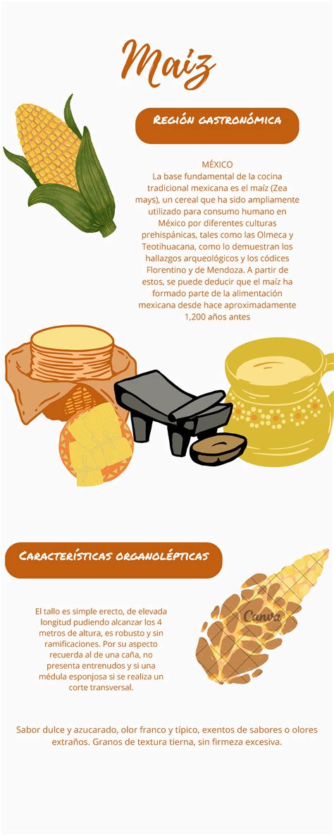 infografía sobre los beneficios nutricionales del miso