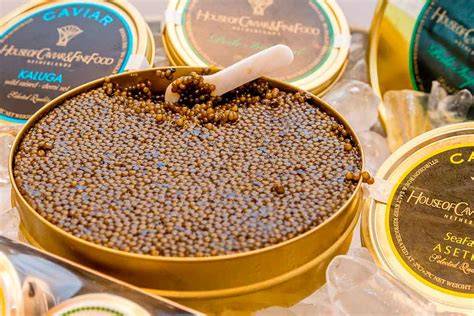 Diferencias entre tipos de caviar