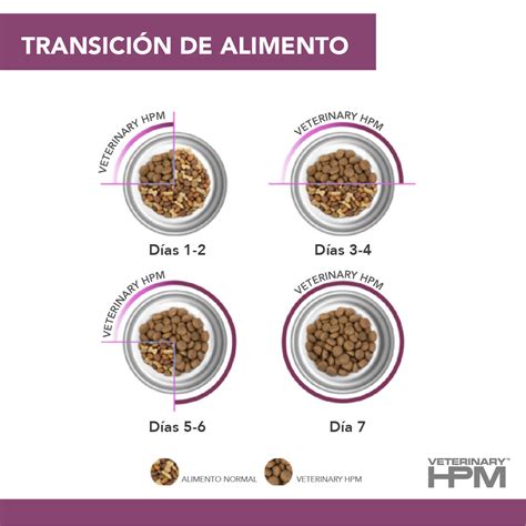 Esquema de transición alimentaria para gatos