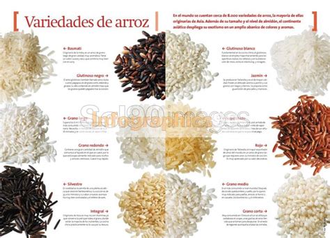 Infografía con variedades de arroz