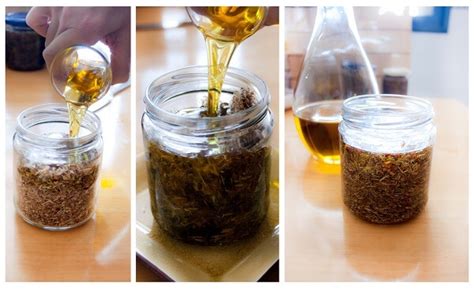 Proceso de infusión de aceite con hierbas