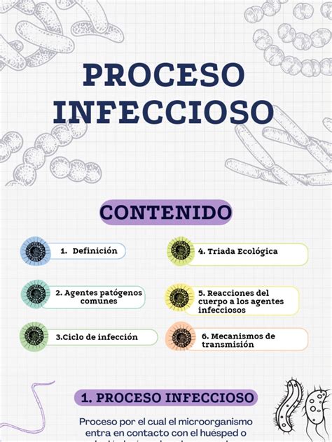Diagrama del proceso de infección por Clostridium botulinum