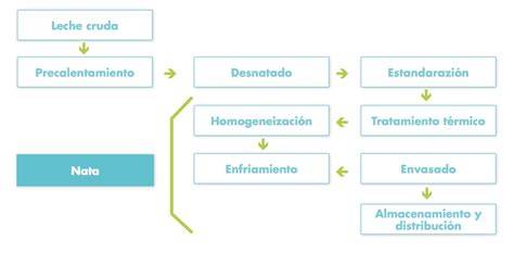 Proceso de elaboración de la nata