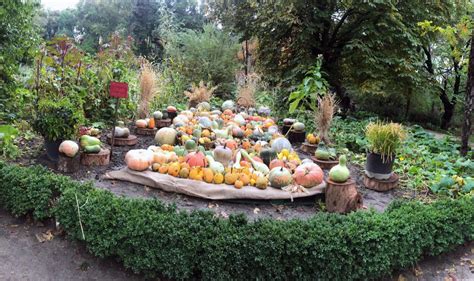 Entrada a la exposición de calabazas en el Real Jardín Botánico de Madrid