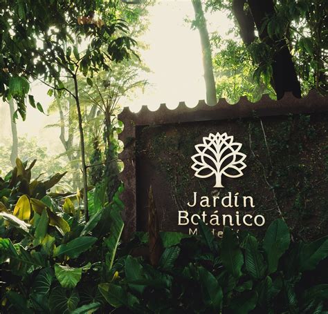 Calabazas decoradas y premiadas en el concurso del Jardín Botánico
