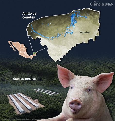 Mapa de la concentración de granjas porcinas en Lleida