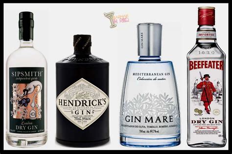 botellas de ginebra premium con botánicos y especias alrededor
