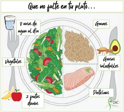 plato equilibrado de tortilla con vegetales frescos y mayonesa