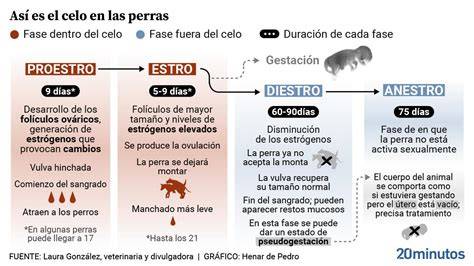 Gráfico mostrando la relación entre la duración del celo y el momento óptimo de inseminación