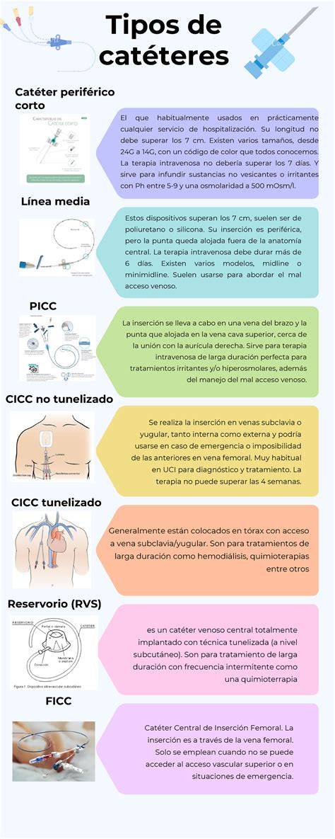 Ilustración de los diferentes tipos de catéteres para inseminación artificial en cerdas
