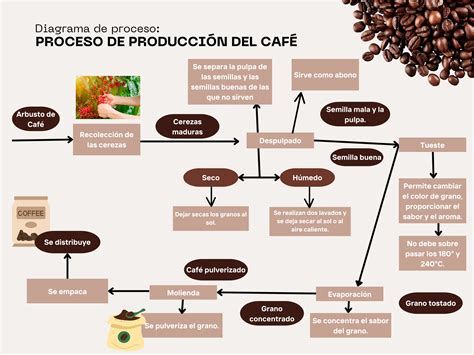 Mapa de orígenes del café de especialidad
