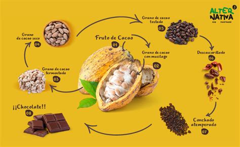 Proceso de fabricación del chocolate desde el grano de cacao