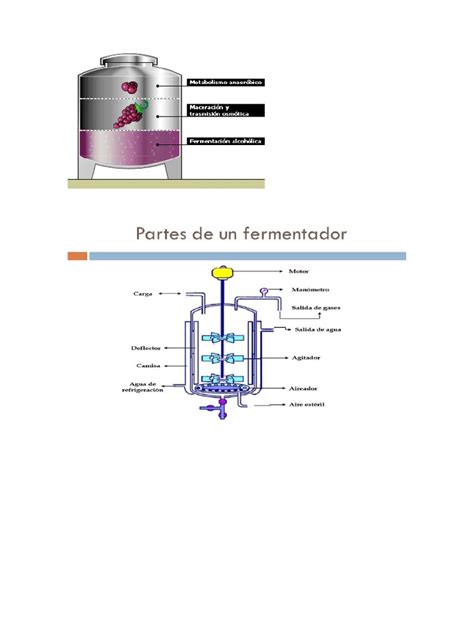 Esquema de las partes de un fermentador de plástico con etiquetas