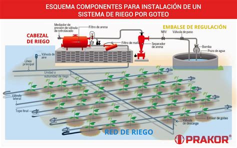 Esquema de un sistema de riego por goteo con fertirrigación