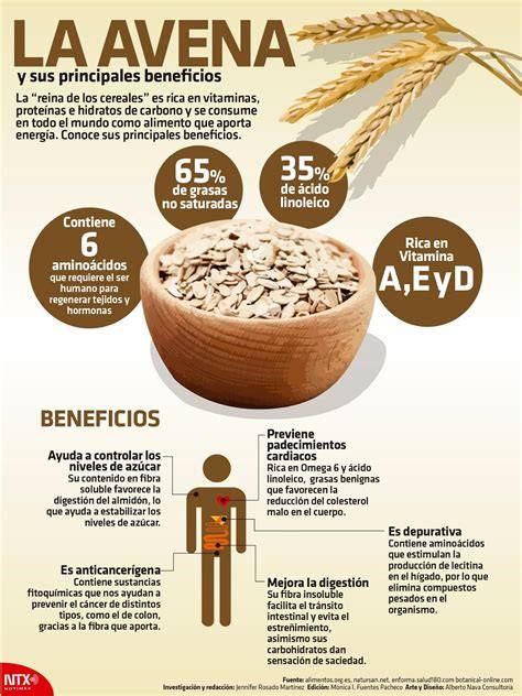 Comparativa de nutrientes entre avena y centeno