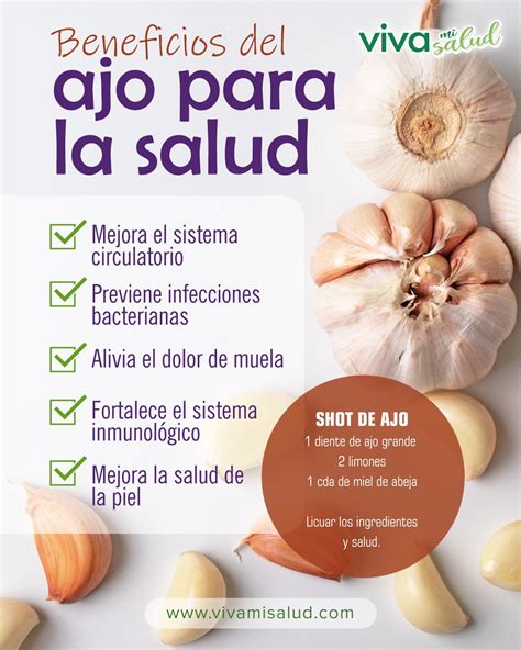 Ajo fresco y sus beneficios para la salud