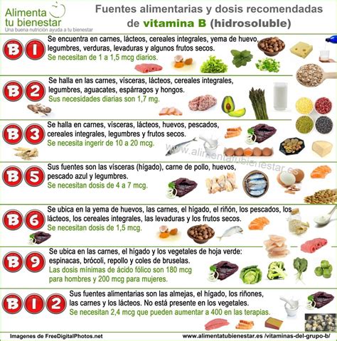 Tabla nutricional del pavo, destacando proteínas, vitaminas del grupo B y minerales