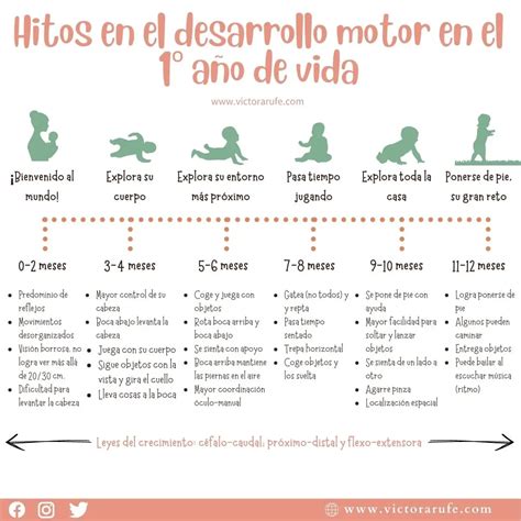 Gráfico de desarrollo motor del bebé