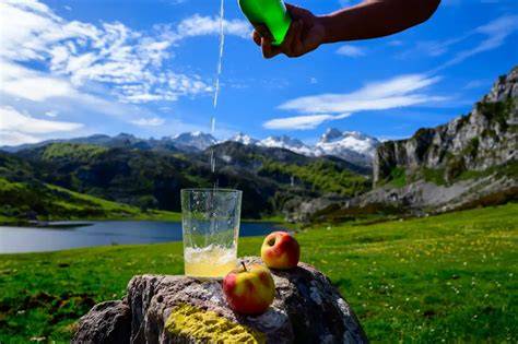 Paisaje asturiano con manzanos y botellas de sidra