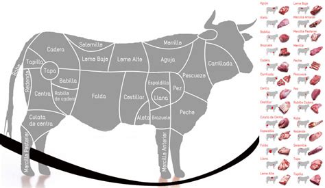Diferentes cortes de carne de vacuno para barbacoa