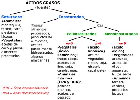 Esquema de los ácidos grasos monoinsaturados y su efecto en el colesterol