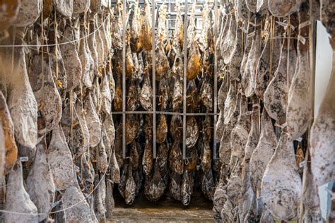Proceso tradicional de curación del bacalao en instalaciones artesanales