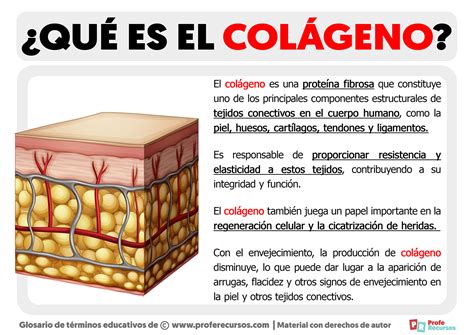 Infografía sobre los beneficios del colágeno en el cuerpo