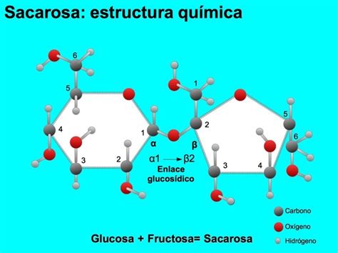 Diferencia entre sacarosa, glucosa y fructosa