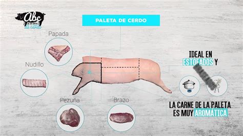 Esquema de corte de la paleta de cerdo