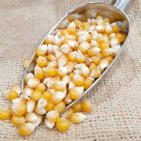 Maíz para palomitas a granel
