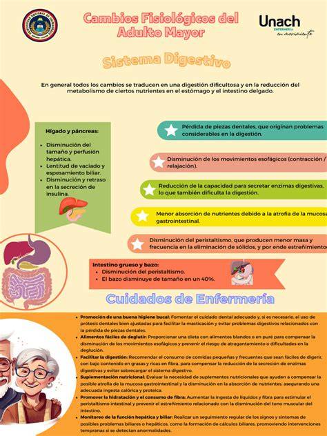 Cambios en el sistema digestivo de personas mayores