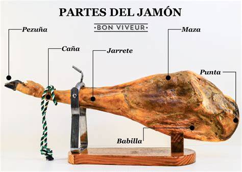 Esquema de las partes de un jamón y puntos de corte