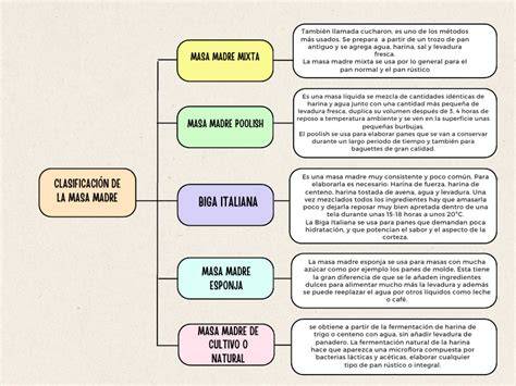 Esquema de los diferentes tipos de masa fermentada y sus aplicaciones
