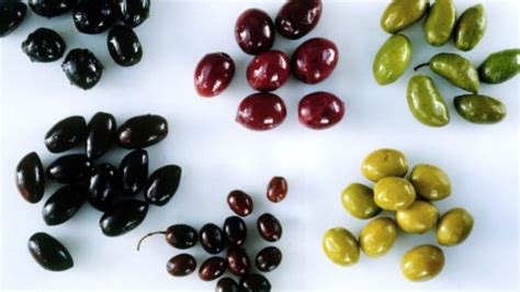 Variedad de aceitunas murcianas