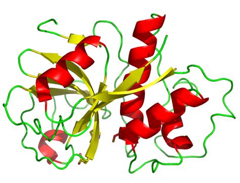 Estructura molecular de la papaína