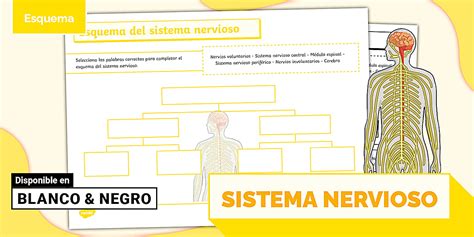 Esquema del sistema InstaClean de Campingaz