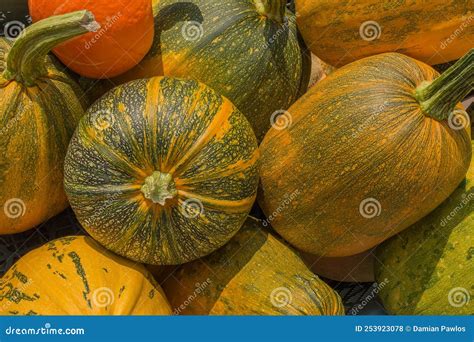 Variedades de calabaza en el mercado