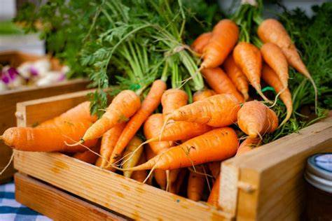 Zanahorias frescas y otros vegetales