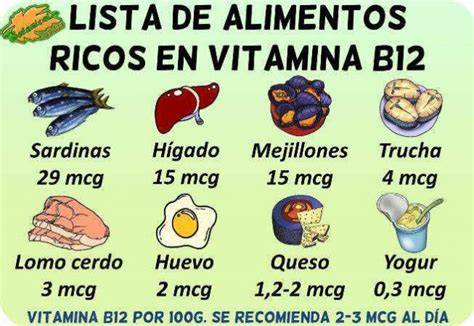 Alimentos ricos en vitamina B12 de origen animal y vegetal