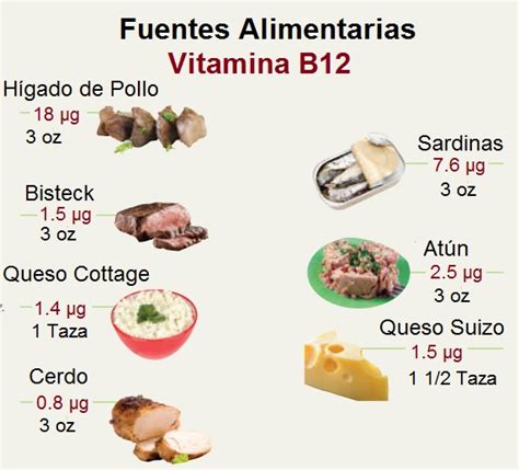 Esquema de las fuentes de vitamina B12