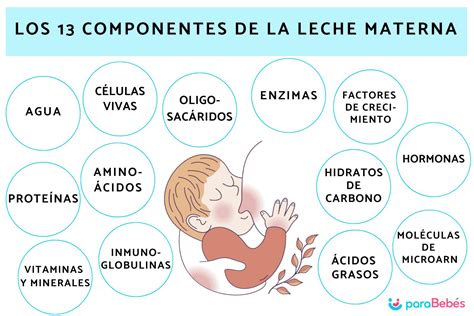 Esquema de la composición de la leche materna
