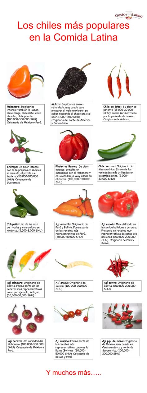Chiles variados de América Latina