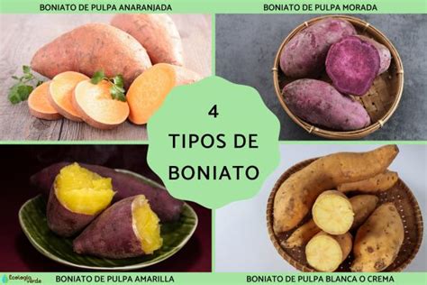 Color y forma del boniato